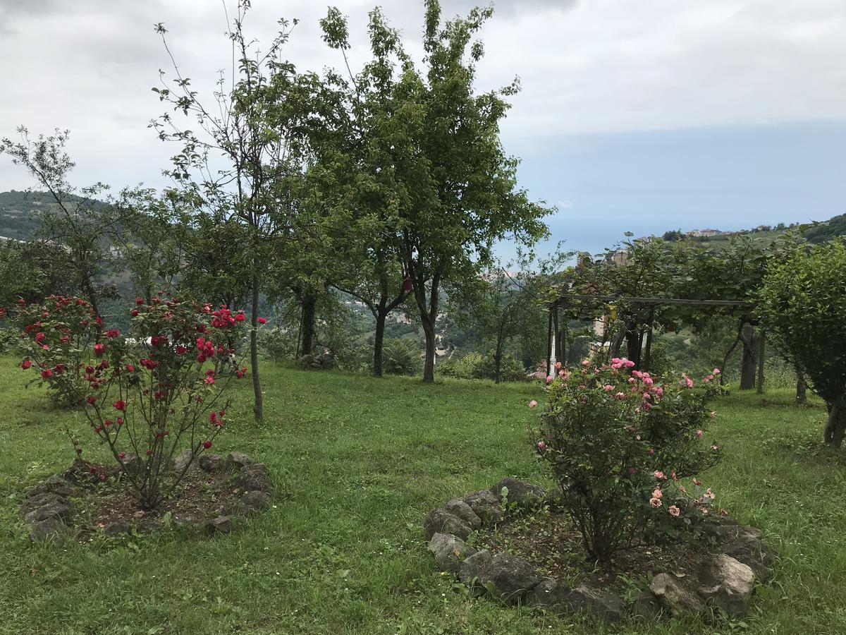 Sea & Nature Villa Hisar Трабзон Экстерьер фото